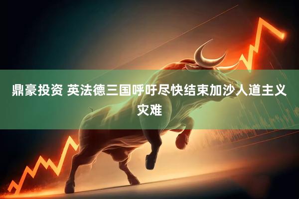 鼎豪投资 英法德三国呼吁尽快结束加沙人道主义灾难