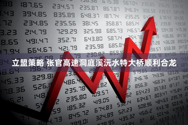 立盟策略 张官高速洞庭溪沅水特大桥顺利合龙