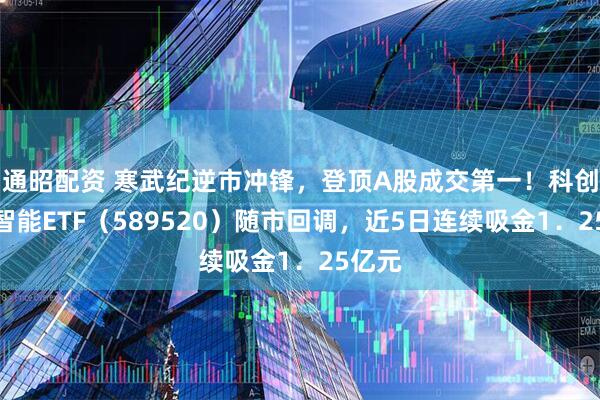 通昭配资 寒武纪逆市冲锋，登顶A股成交第一！科创人工智能ETF（589520）随市回调，近5日连续吸金1．25亿元