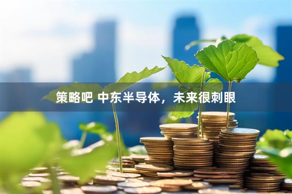 策略吧 中东半导体，未来很刺眼