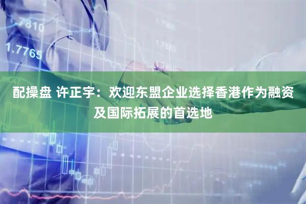 配操盘 许正宇：欢迎东盟企业选择香港作为融资及国际拓展的首选地