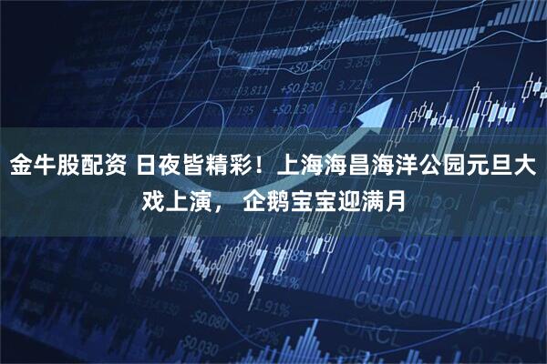 金牛股配资 日夜皆精彩！上海海昌海洋公园元旦大戏上演， 企鹅宝宝迎满月